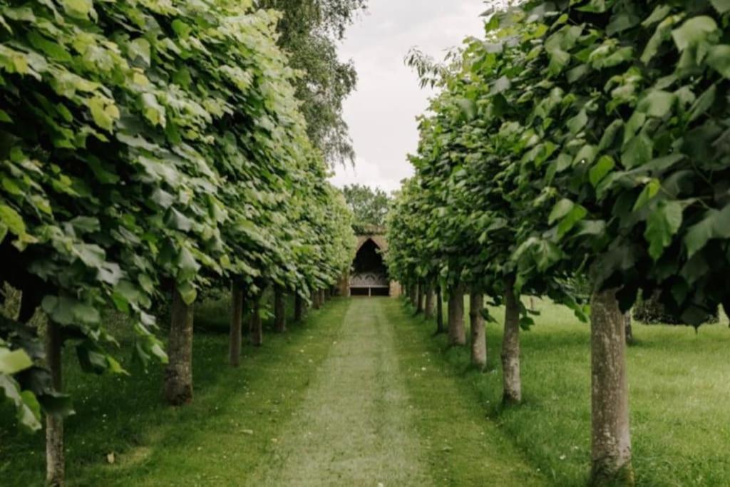 Cressy Hall - Historic Grade II Listed Manor, Gorgeous Topiary Garden Gosberton 外观 照片